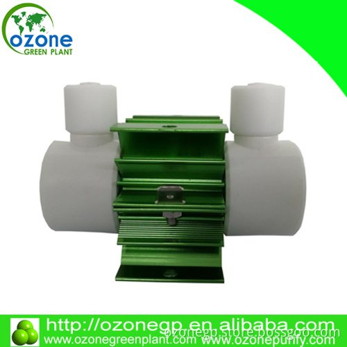 500mg 1000mg quartz ozone generator kits mini ozon generator for food